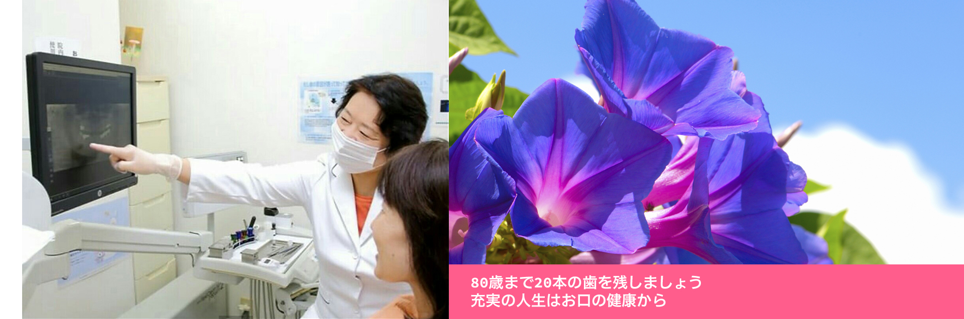 いつまでも 美味しい物を 食べたいから