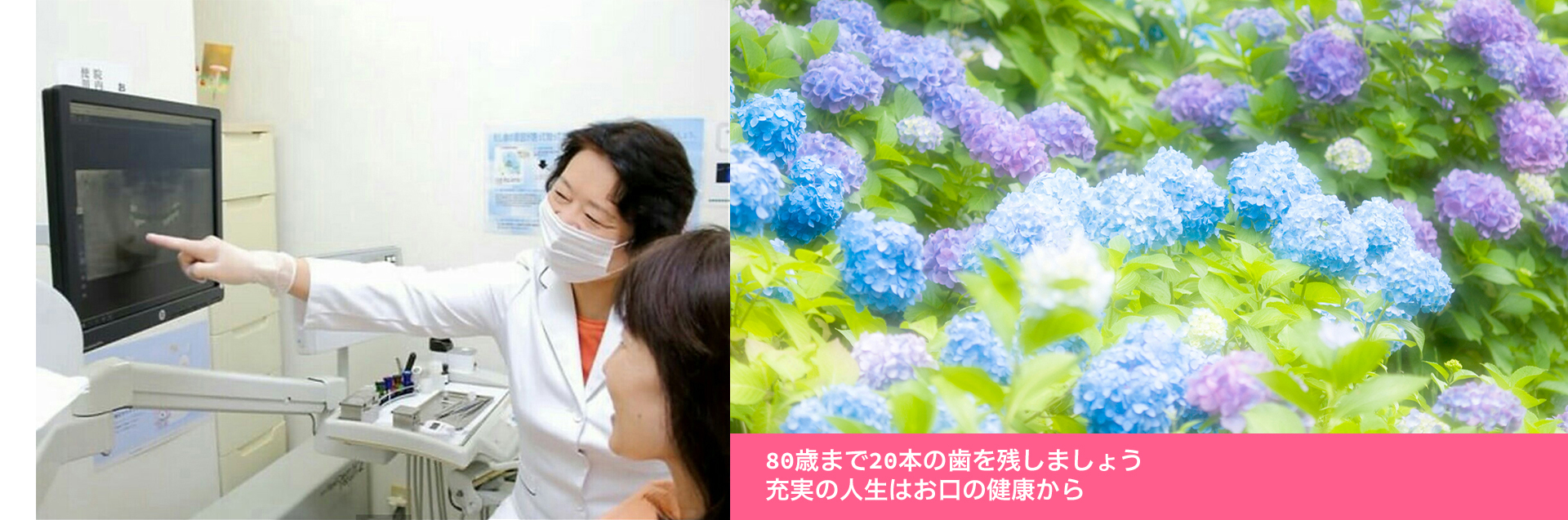 いつまでも 美味しい物を 食べたいから