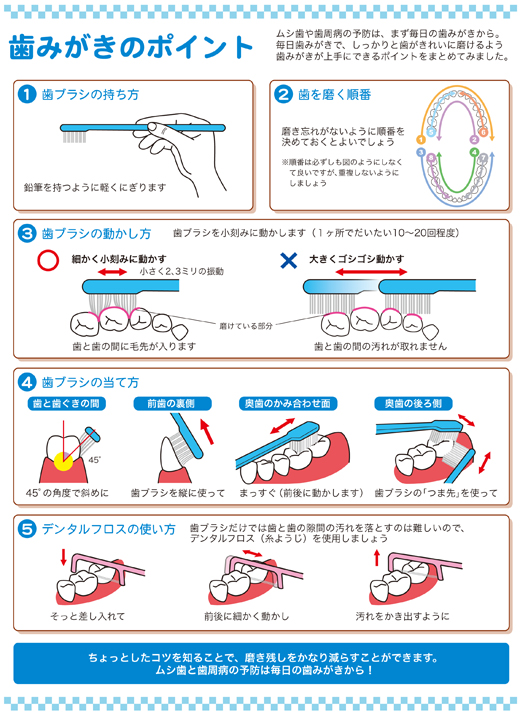 歯みがきのポイント